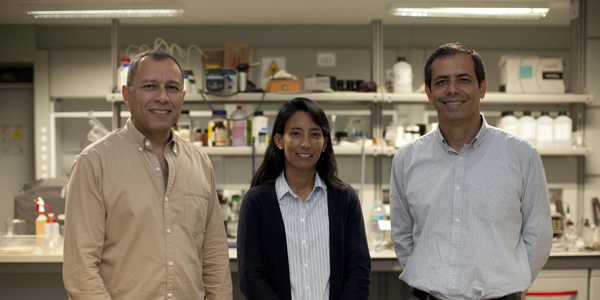 Los investigadores Javier Quino, Silvia Ponce y Raúl Eyzaguirre.